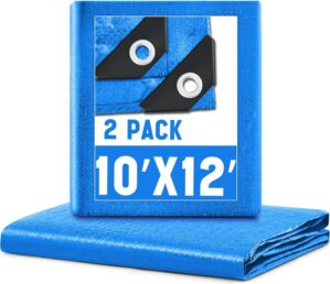 2 Pack 10 x 12 ft 5.5 Mil Large Tar...